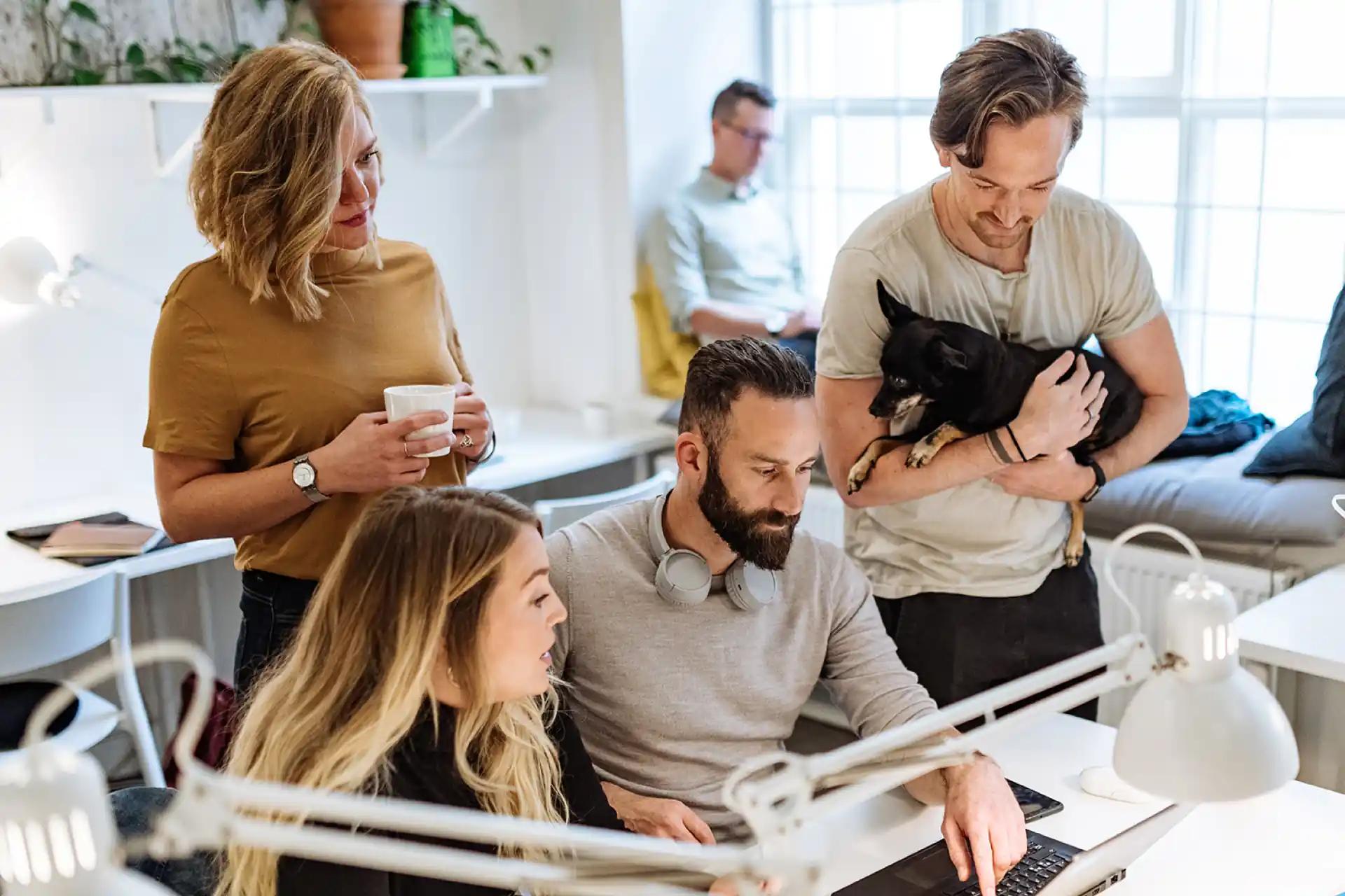 Eine Gruppe verschiedener Fachleute arbeitet in einem modernen haustierfreundlichen Büro zusammen, einer hält einen kleinen Hund